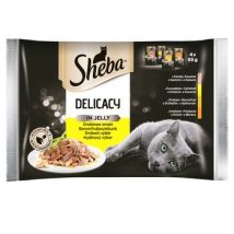 Sheba Delikatesse In Gelee – Nassfutter Für Ausgewachsene Katzen, Geflügelgeschmack In Gelee, 4 X 85 G