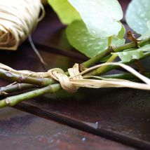 Raphia natural 50 gr – Link for plants