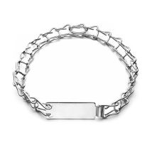 1,5 Cm X 55 Cm Collier: Collier Échelle En Acier Chromé Avec Plaque D'Identification