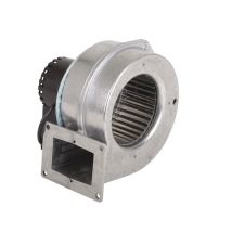 Ventilateur G2e-120-dd70-05 - Aosmith : 0306689(s)