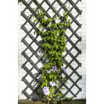 Traliccio Da Giardino 50x150 Cm In Pvc Antracite Nature