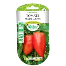 Semi di pomodoro andino cornuto bio – Fabre Graines – Agricoltura biologica – Piantagione da febbraio ad aprile – Raccolto da luglio a ottobre