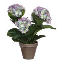 Magnolia Púrpura Artificial – Maceta Gris Ø40cm – Planta Decorativa para Hogar y Jardín – 35cm de Altura