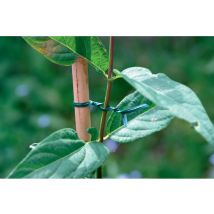 Alambre de atadura verde Nortene 25 m – Acero plastificado – Ideal para atar plantas a tutores