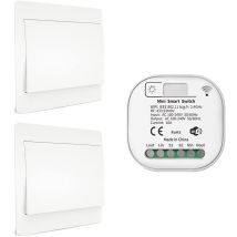 Rf433 And Wifi Wireless Remote Control Light Switch, No Battery, Wiring, Or Hub Required, Compatible With Alexa, Google Home, And Tuya Smart Life App,