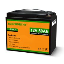 Eco-worthy - 50ah 12v Lithium Battery Emergency Power Backup Rechargeable Lifepo4 Lithium Iron Phosphate With 3000+ Deep Cycles And Bms Protection, 