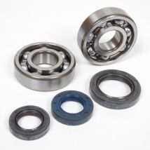 Lager Oder Simmering-dichtung Für Den Motor Athena Für Motorrad