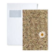 Wallface - 1 Musterstück S-al-11004 Alpine White Daisy Natural Collection Wandverkleidung Muster In Ca. Din A5 Größe