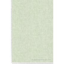 Papier Peint Intissé Uni Vert - 10,05 X 0,53 M - Collection Cosmopolitan