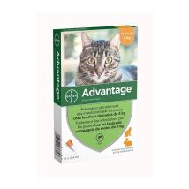 Bayer - Advantage 40 - 4 Pipas Antiparasitarias - Para Gatos Y Conejos De Menos De 4kg
