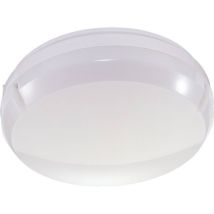 Thorn 96240255 Leopard Led Light 17w 1250lm 4000k