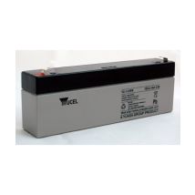 Batteria Piombo Yuasa 12v.1ah Y2.1 - 12fr