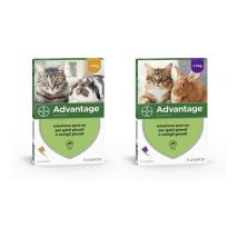 Advantage Antipulci Antiparassitario Per Piccoli Gatti Conigli Peso - Kg.4 - Bayer