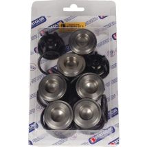 Kit Valvole Di Ritegno Pa330/430 A/m Bertolini 039850973