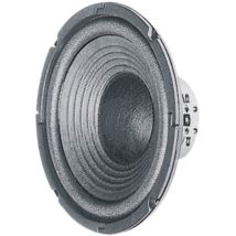 W200 – 20 cm (8 Zoll) Basislautsprecher – 4 Ohm – Solide Klangqualität für Audioanwendungen
