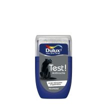 Testeur Couleur Anthracite 30 Ml - Peinture Dulux Valentine