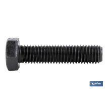Vite Esagonale 12,9 Nera (din 933) M22x70