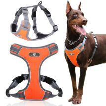 Astro Orangefarbenes Hundetrainingsgeschirr, Größe Xl