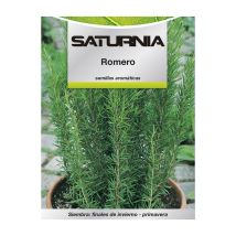 Semi Di Rosmarino Aromatico (0,1 Grammi) Orticoltura, Orticola, Semi Di Ortaggi.