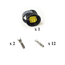 Kit Connecteurs Framatome Mâle 14 Voies étanche – Aptiv