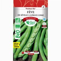 Semillas De Habas De Sevilla De Vaina Larga Bio Los Dedos Verdes 100g