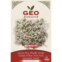 Semi Per Germogli Di Pisello Verde Bio 90g