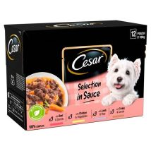 Cesar – Wet Dog Food Pouches in Gravy – 12 x 100g – Beef & Carrots, Chicken & Vegetables, Lamb & Peas, Turkey & Carrots