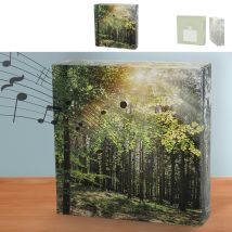Soundbox 'wald' Sensore Di Movimento 12 X 12 X 3,5 Cm Cartone Plastica Canto Degli Uccelli Regolabile (1 X Soundbox Wald)