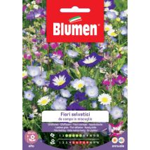 Semi di fiori selvatici da campo – Blumen – 0,5 cm – marzo-luglio – maggio-settembre