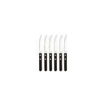 Kühlschrankmagnet 6 Ctx Steak Pizza 20 Schwarz - Amefa