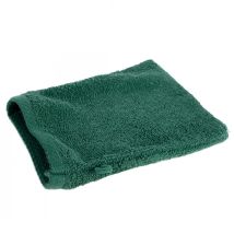 Guanto Per Lavaggio Asciugamano In Cotone Liscio Eurofirany 16 X 21 Cm Verde Scuro