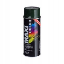 Colore Maxi Ral 6009 Lucido