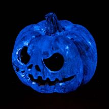 Calabaza Refugio Que Brilla En La Oscuridad Exo Terra