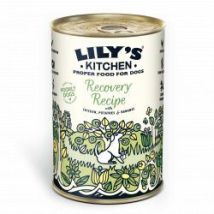 Lk Dog Recovery Recipe 400g - 640877