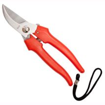 Forbicifalci Per Uva Inox Cm 19. Prezzo Per 1 Pezzo.