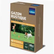 Prato rustico – 1 kg – Trattamento 40 m² – Scatola richiudibile con seminatrice integrata – Caillard
