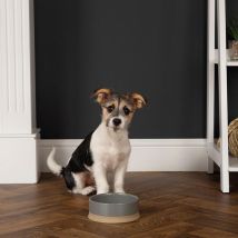 Scruffs - Scandi Non Tip Bowl 14cm Grey - Pk 4 - 267780