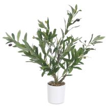 Künstlicher Olivenbaum – 58 cm – Dekoration für Innenräume – Hochwertige Kunststoffpflanze – Pflegeleicht – Ideal für Wohnzimmer, Schlafzimmer, Büro