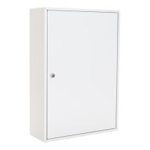 Rottner - Schlüsselschrank S 150 H550xb380xt140mm 1-türig Zylinderschloss Anzahl Haken 150