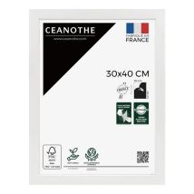 Ceanothe Eternel Marco De Fotos Blanco 44,2 Cm X 34,2 Cm
