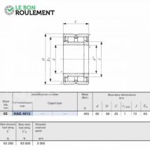 Roulement À Rouleaux Cylindriques Nag4913-iko