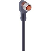 Lumberg Automation - 13178-1 Sensor-/aktor-steckverbinder, Konfektioniert M8 Buchse, Gewinkelt 5.00 M