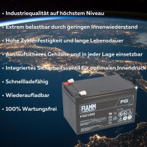 Blei-akku Fg21202 Pb 12v / 12ah Faston 6,3 - Fiamm