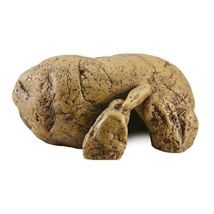 Exo Terra Grotte Xxl Natur Für Reptilien-terrarien
