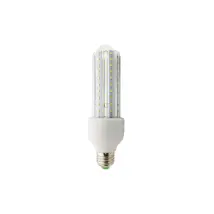 Ampoule Wellhome Pk8036 3w 6000k Led