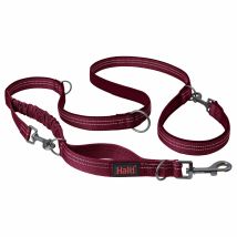 Laisse multi-position Anatomy – Longueur 2m – Matières : néoprène, Poids max : 55kg – HALTI