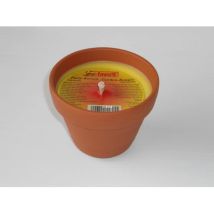 Partykerze im Tontopf mit Citronella-Wachs – Brenndauer 20 Stunden – Gewicht 350 g