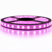 Sysled - Kit De Cinta Profesional 5050 - 60 Leds/m - 5 Metros Rosa Anti-salpicaduras (ip65) Longitud: 5 Metros - Transformador: No Se Incluye La 