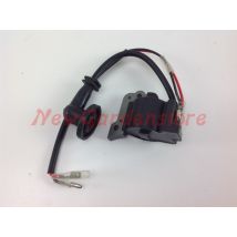 Bobina Accensione Motore Zenoah Decespugliatore G26l Tagliasiepi Ht 2300 019939