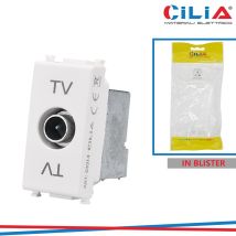 Tv Maschio Vmr Pln Bianco Cilia